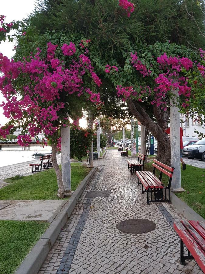 Bel Appartement Centre De تافيرا المظهر الخارجي الصورة
